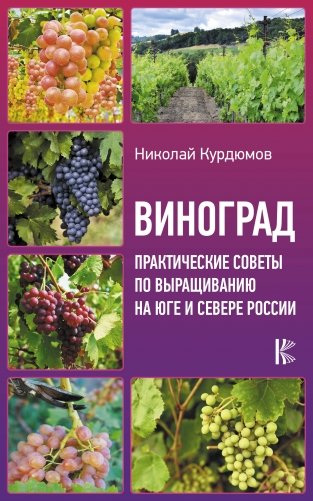 Виноград. Практические советы по выращиванию на юге и севере России фото книги