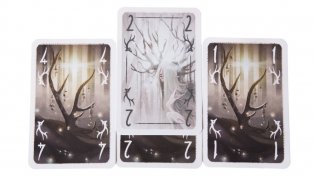 Настольная игра "Сиггил" фото книги 5