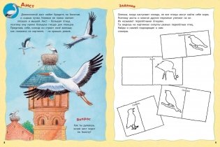 Как живут птицы? Книжка-активити с развивающими заданиями, головоломками, наклейками фото книги 4