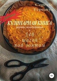 Почти кулинарная книга с рецептами самосохранения и 540 шагов под зонтом фото книги