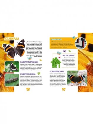 Самые красивые бабочки. Детская энциклопедия фото книги 7