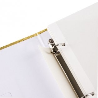 Фотоальбом "Свадебный", 20 магнитных листов 30х32 см, цвет светло-золотистый фото книги 5