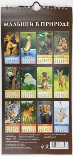 Малыши в природе. Календарь настенный с ригелем на 2021 год (Евро) фото книги 3