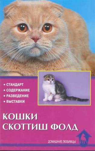 Кошки скоттиш-фолд фото книги