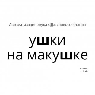 Звукварик 2. Карточки для автоматизации шипящих [ш, ж, ч, щ] звуков в словосочетаниях, фразах и стихах. 125 карточек. ФГОС фото книги 4