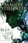 Blue Lily, Lily Blue (the Raven Cycle, Book 3) фото книги маленькое 2