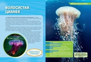 Большая энциклопедия океана фото книги 8