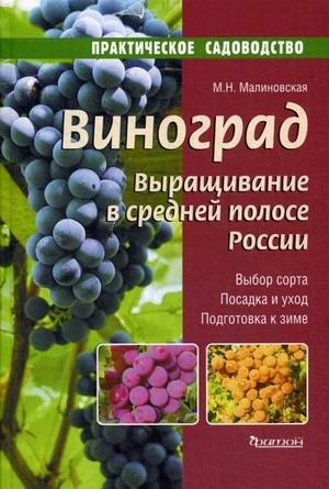 Виноград. Выращивание в средней полосе России фото книги