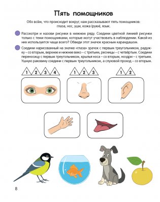 Умней-ка. 5-6 лет. Экологическая мозаика фото книги 5