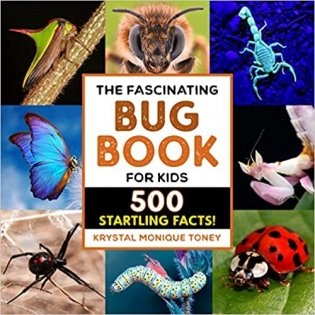 The Fascinating Bug Book for Kids: 500 Startling Facts! фото книги