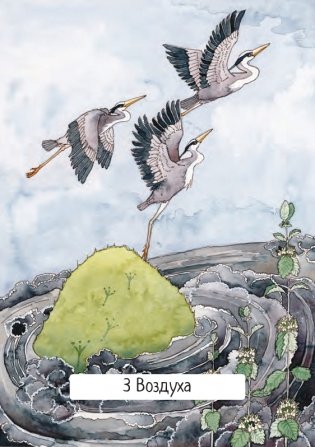 Таро ведьм (78 карт, инструкция) фото книги 26