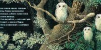 Совята ждут маму фото книги 4
