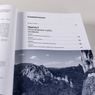 Один на один с жизнью: Книга, которая поможет найти смысл фото книги 11