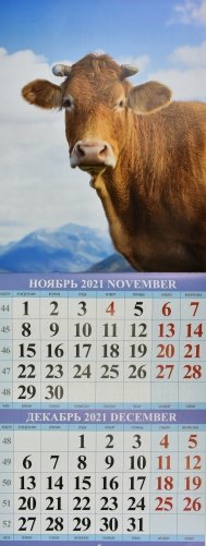 Символ года. Вид 1. Календарь настенный перекидной на скрепке на 2021 год фото книги 3