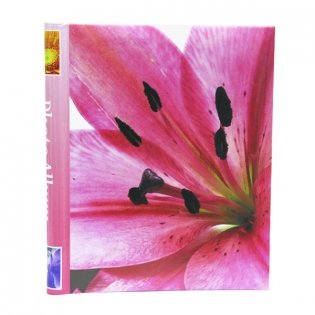 Фотоальбом "Fleur-de-lis 3" (10 листов) фото книги