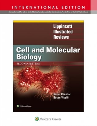 Lippincott Illustrated Reviews: Cell and Molecular Biology, International Edition 2e фото книги