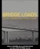 Bridge Loads: An International Perspective фото книги маленькое 2