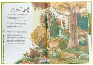 Лесной календарь фото книги 4