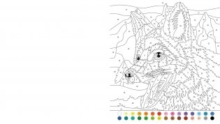 Animal colour by numbers фото книги 5