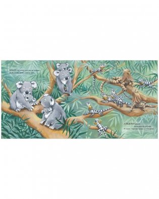 Книжки-картинки. Сладких снов, мой малыш! фото книги 6