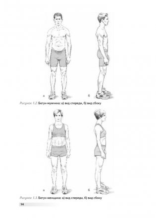 Анатомия бега. Иллюстрированное пособие по развитию силы, скорости и выносливости фото книги 9