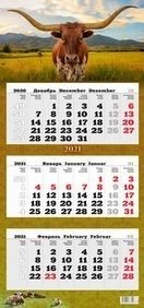 Символ года. Вид 1. Календарь квартальный трёхблочный ТРИО-евростандарт на единой подложке на 2021 год (в европакете) фото книги