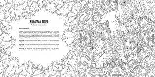 Baby animals: a smithsonian coloring book фото книги 4