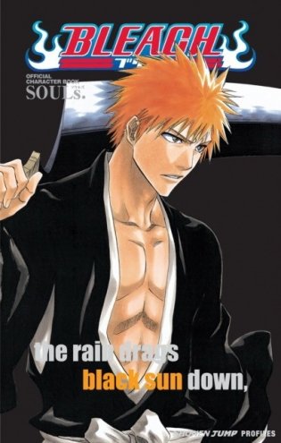 Bleach souls фото книги