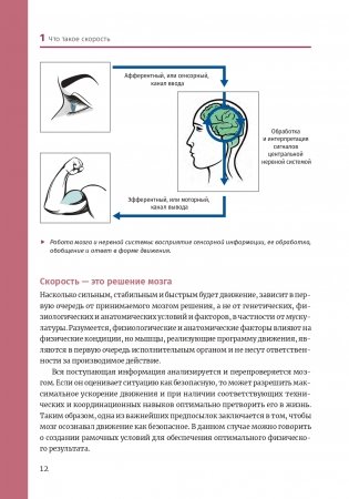 Нейроатлетика для улучшения реакции и скоростных характеристик: скорость зарождается в мозге фото книги 11