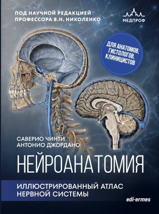 Нейроанатомия. Иллюстрированный атлас нервной системы фото книги