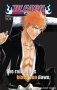 Bleach souls фото книги маленькое 2