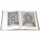 Временщики и фаворитки. XVI-XVIII веков фото книги маленькое 5