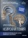 Нейроанатомия. Иллюстрированный атлас нервной системы фото книги маленькое 2