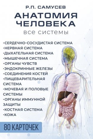 Анатомия человека. 80 карточек. Все системы фото книги