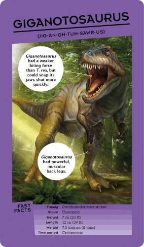 Dinosaurs: Book and Fact Cards фото книги 2