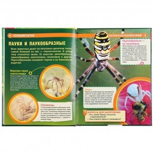 Большие пауки фото книги 3
