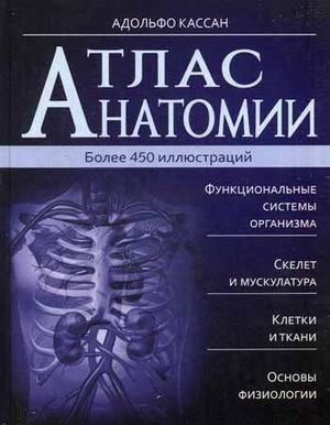 Атлас анатомии. Более 450 иллюстраций фото книги