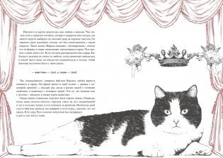 История кота, изменившего одну жизнь. Признание в любви фото книги 7
