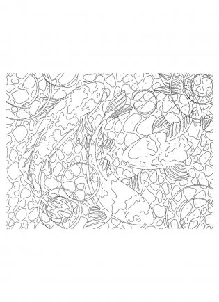 Картины для раскрашивания по номерам "Животные" фото книги 4