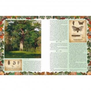 Беседы о русском лесе фото книги 6