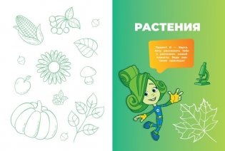 Фиксики. Как всё устроено? Главные знания о мире фото книги 5