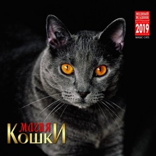 Календарь на 2019 год "Магия кошки" (КР23-19019) фото книги