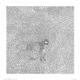 The Hidden Creatures Coloring Book фото книги 4