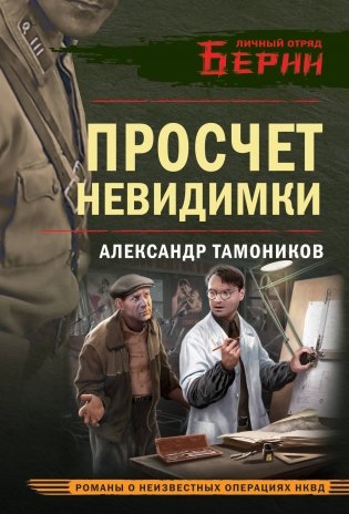 Просчет невидимки фото книги