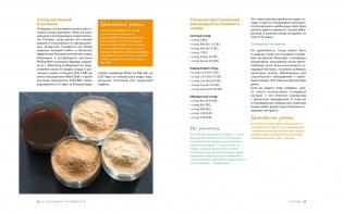 Beer Expert: Пиво. Идеальный путеводитель по сортам, видам, рецептам фото книги 9