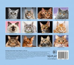 Календарь-домик (евро) "Кошки. Маркет" на 2022 год фото книги 4