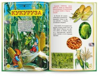 Мы познаем мир! Книги для говорящей ручки "Знаток". Выпуск 3 (количество томов: 4) фото книги 8