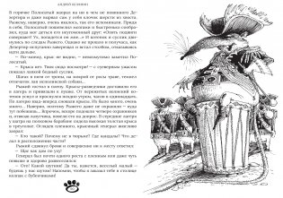 Рыжий и Полосатый. Коллекционное издание фото книги 5