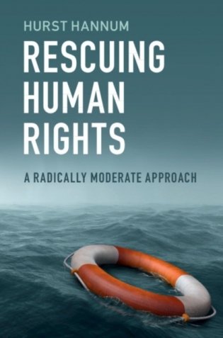 Rescuing Human Rights фото книги