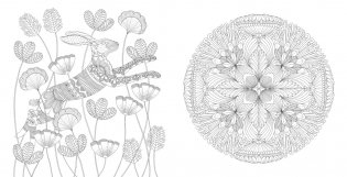 Чудеса природы. Золотая коллекция любимых иллюстраций фото книги 4